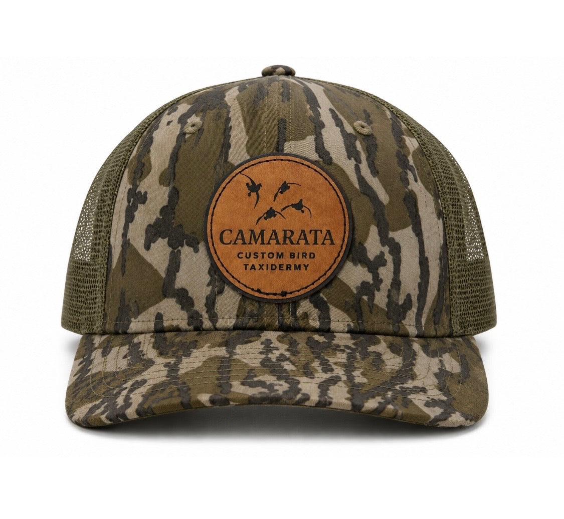 CAMARATA CUSTOM BIRD TAXIDERMY