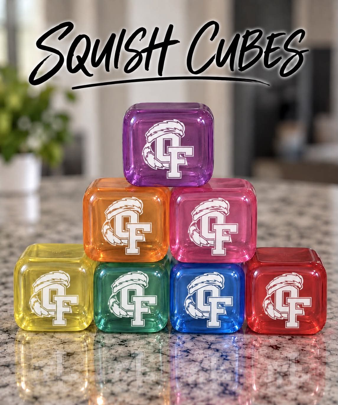 Old Fort Squishy Fundraiser