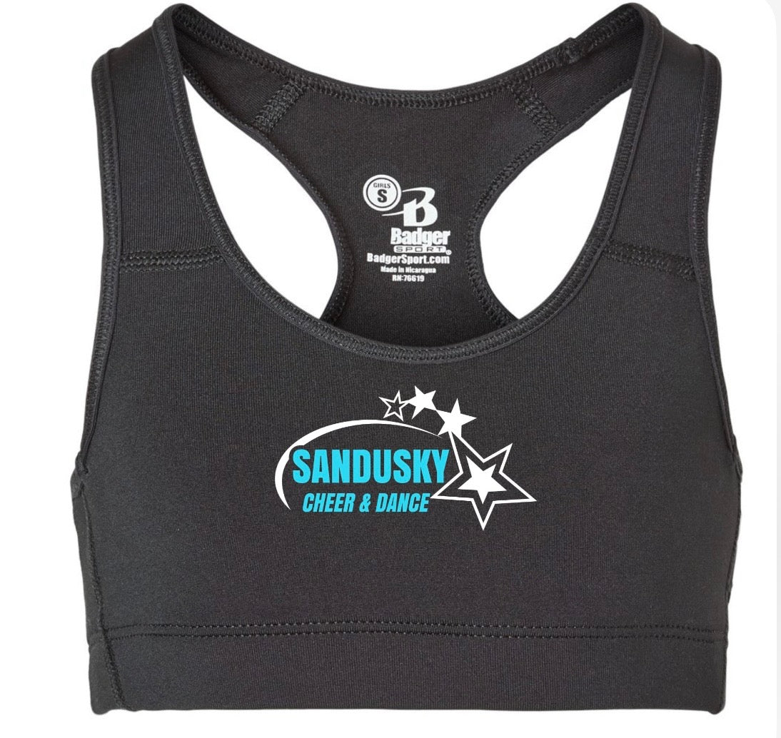 Sandusky Cheer and Dance - BLACK designs