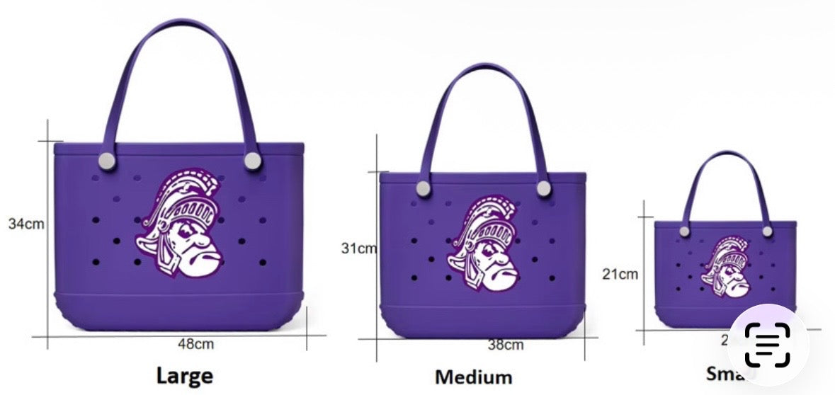 TRIWAY MUSIC DISNEY TRIP 2026 -  TOTE BAG FUNDRAISER ENDS 07/09