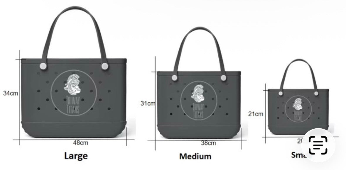 TRIWAY MUSIC DISNEY TRIP 2026 -  TOTE BAG FUNDRAISER ENDS 07/09