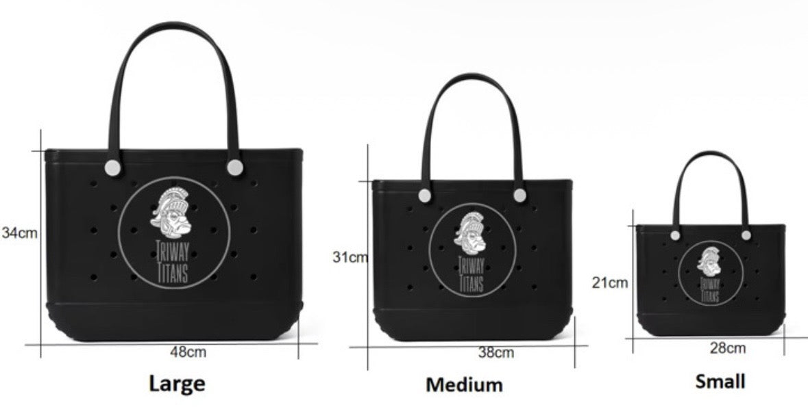 TRIWAY MUSIC DISNEY TRIP 2026 -  TOTE BAG FUNDRAISER ENDS 07/09