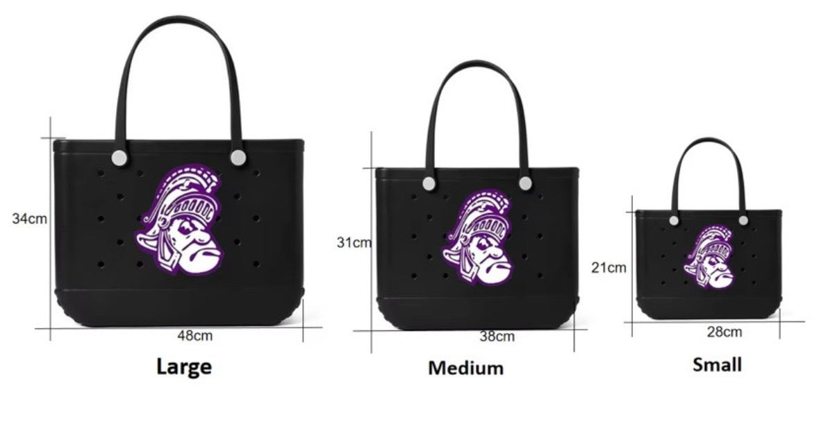 TRIWAY MUSIC DISNEY TRIP 2026 -  TOTE BAG FUNDRAISER ENDS 07/09