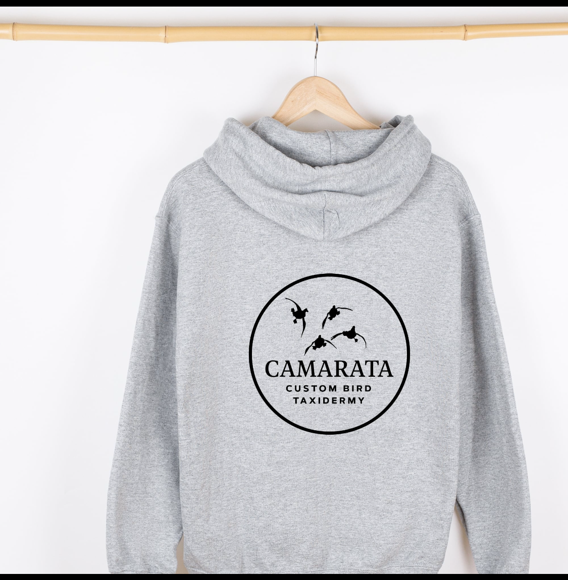 CAMARATA CUSTOM BIRD TAXIDERMY