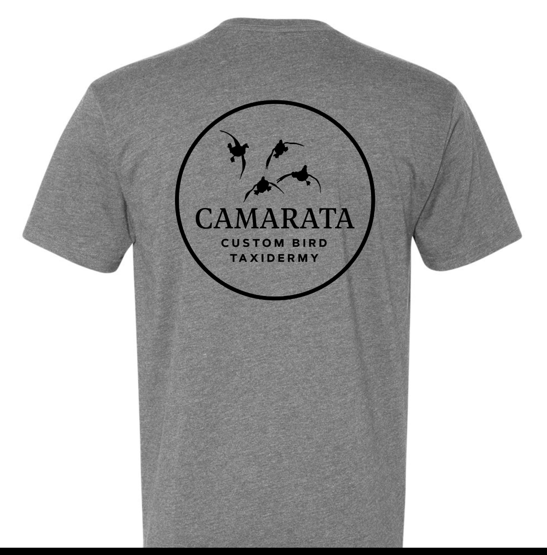 CAMARATA CUSTOM BIRD TAXIDERMY