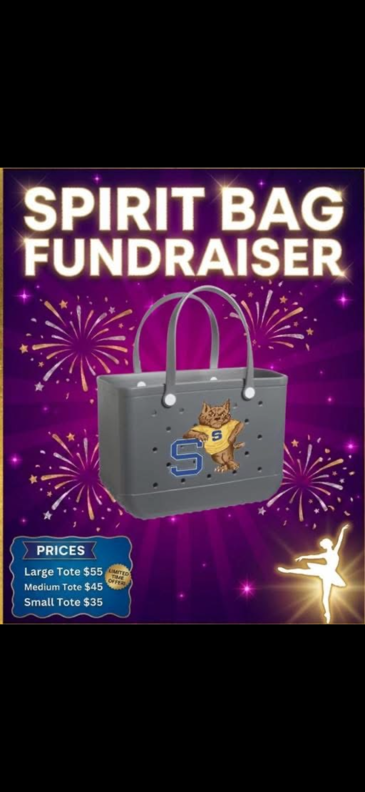 DMD DANCERS SPIRIT TOTE FUNDRAISER ENDS