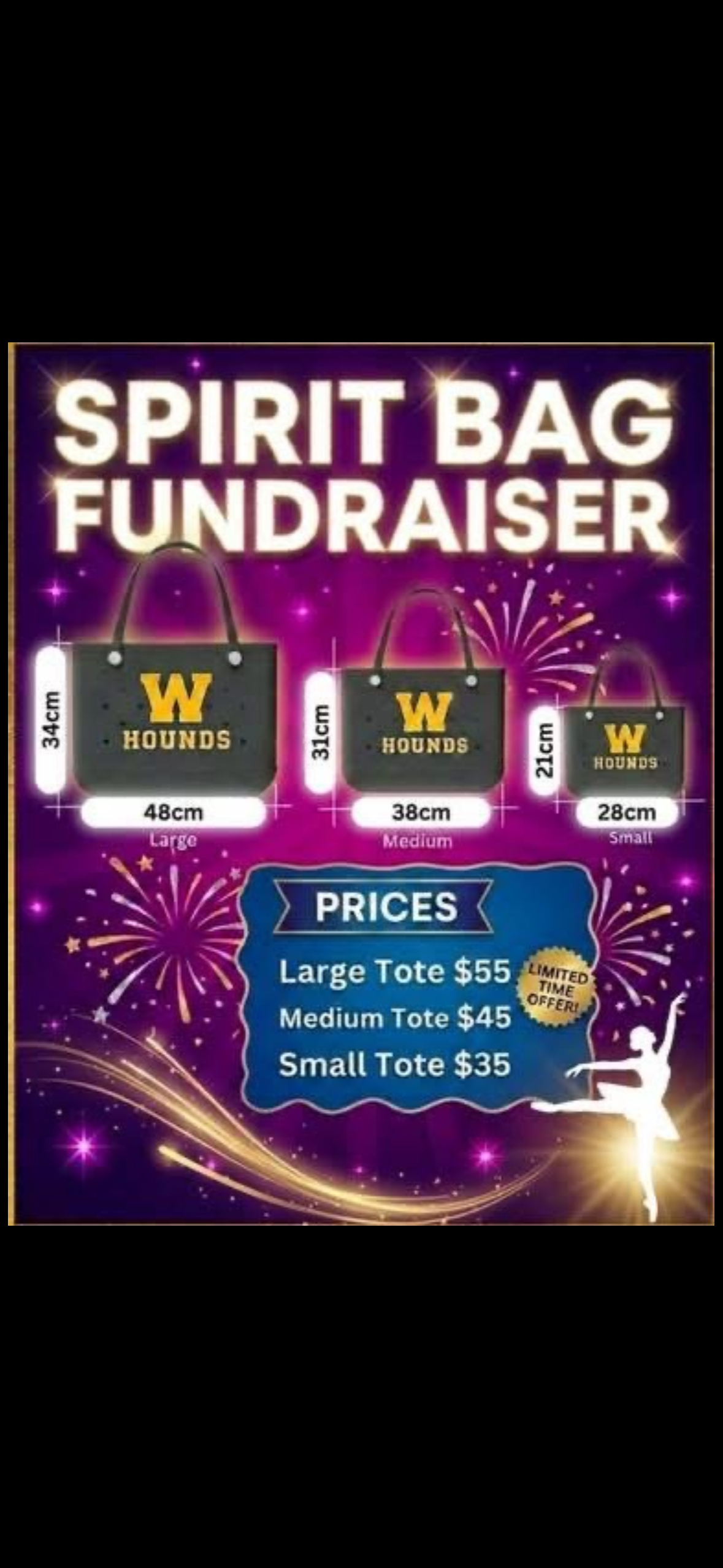 DMD DANCERS SPIRIT TOTE FUNDRAISER ENDS